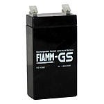 Аккумуляторная батарея Fiamm FG 10381