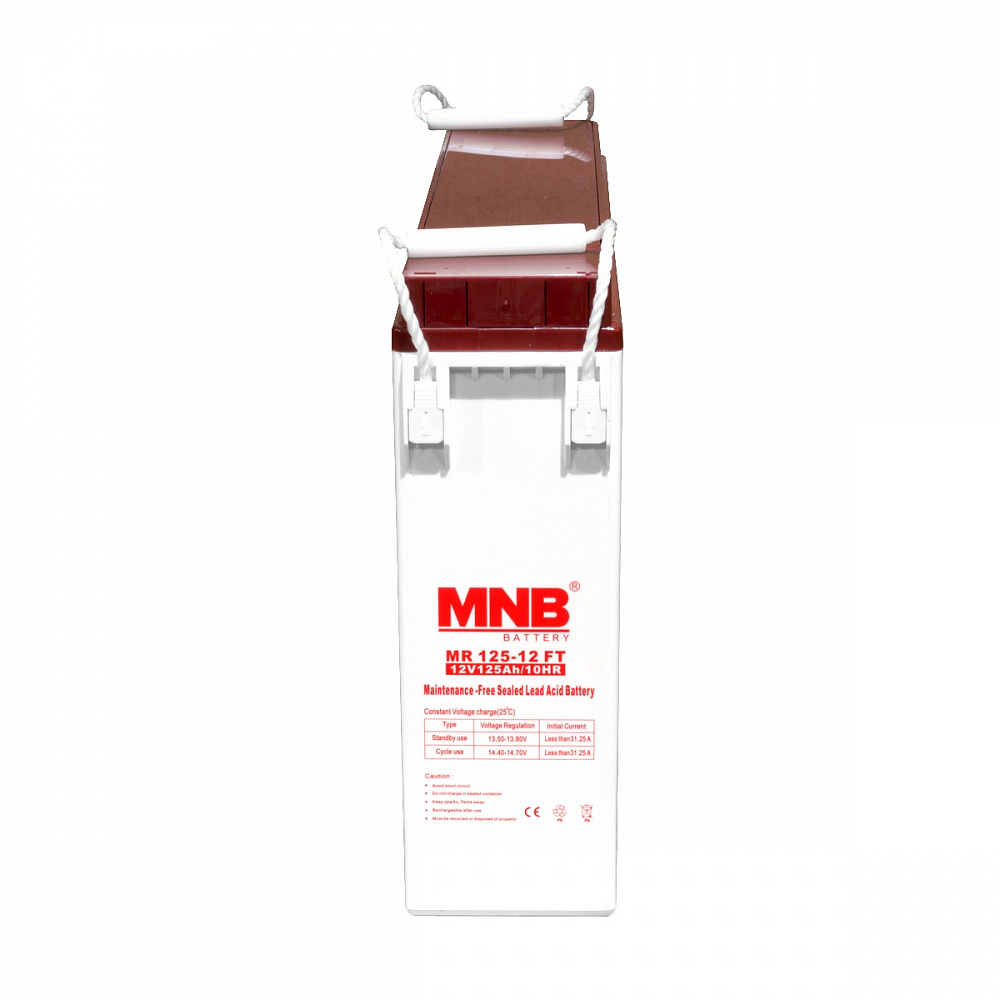 Аккумуляторная батарея MNB MR125-12FT